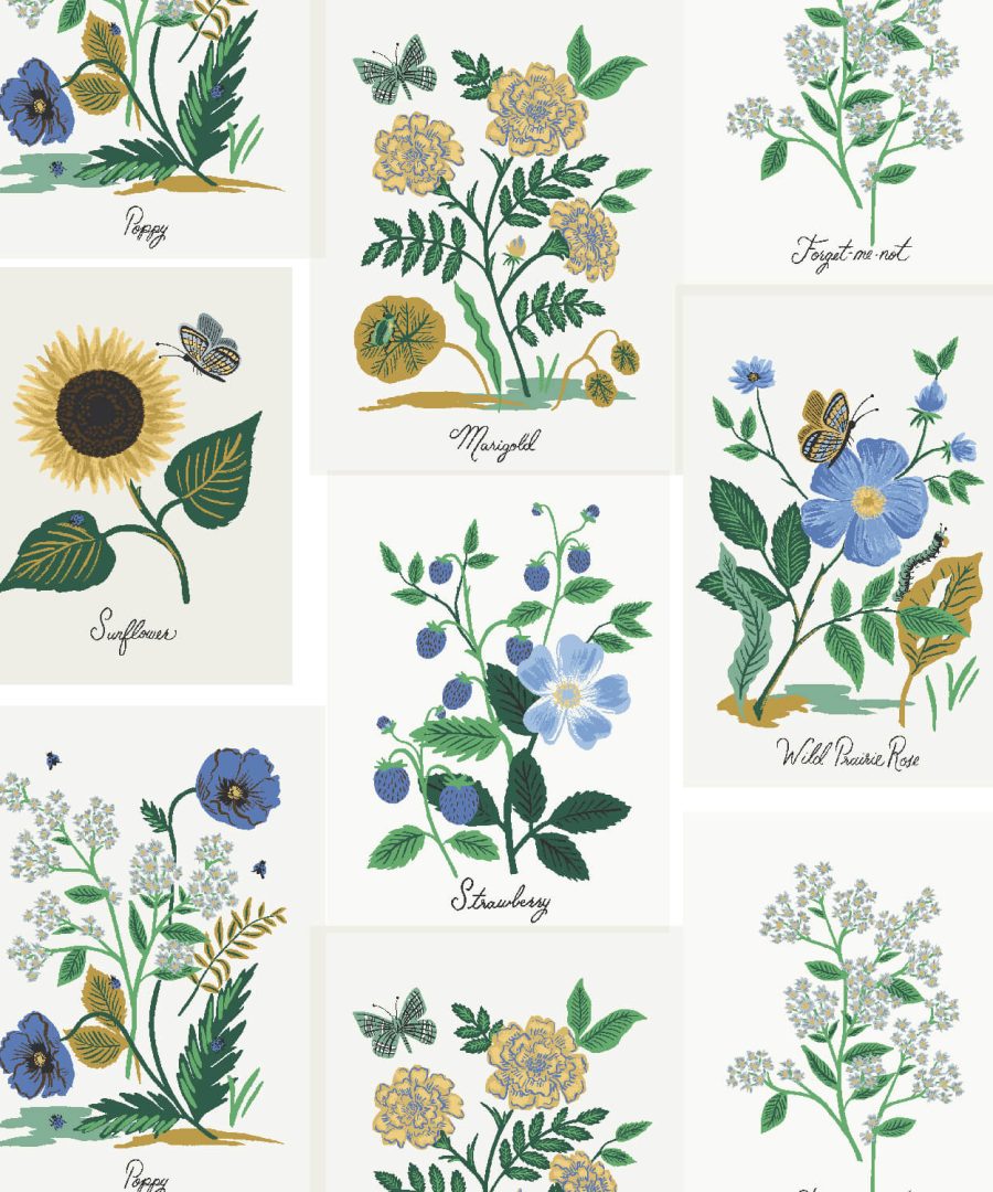 (Rifle Paper Co.) Curio, Botanical Prints in Blue Multi