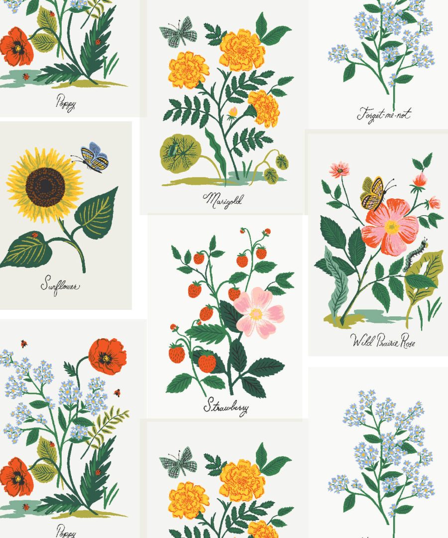 (Rifle Paper Co.) Curio, Botanical Prints in Pink Multi